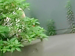 Hot Jap schoolgirls 18+ losing their pants to sharking