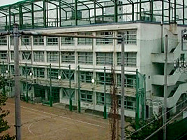 Post Image