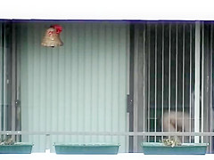 Hottest peeper adult scene