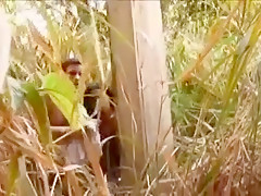In The Jungle