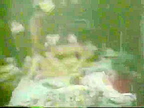 Incredible adult scene Compilation watch show