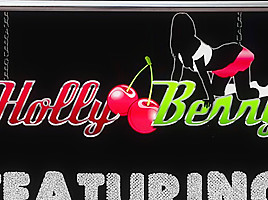 Jamie wolf holly berry volume 1 the southern belle