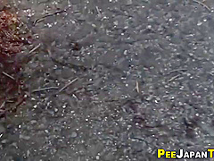 Japanese Bitch Pissing