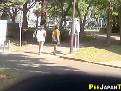 Japanese Bitch Pissing