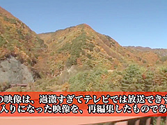 Japanese Woman Oral Sex Group Sex