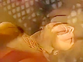 Jasmine St  Claire Lez Scene 1
