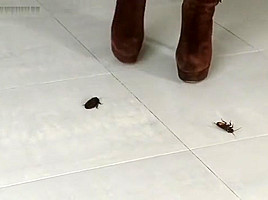 Jocelyn crushes roaches in her sexy boots!