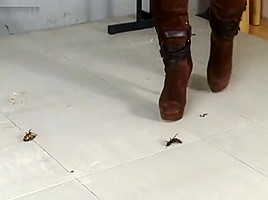 Jocelyn crushes roaches in her sexy boots!