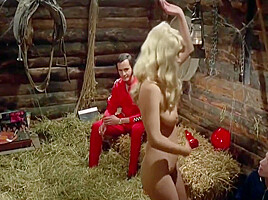 KARIN HOFMANN NUDE (Only Boobs Scene)