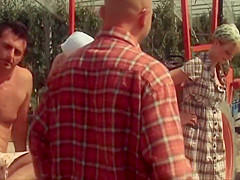 L Honneur Des Mariani (2008)