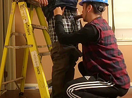LADDER of LOVE
