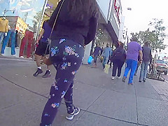 LEGGINGS ASS