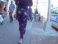 LEGGINGS ASS