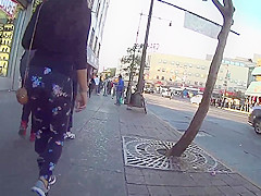 LEGGINGS ASS