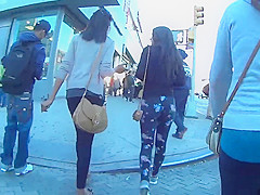 LEGGINGS ASS