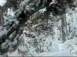 La Otra Alcoba (1976)