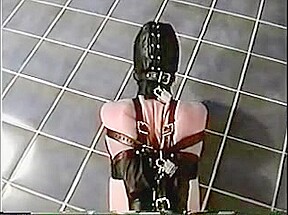 Leather Hood and Armbinder