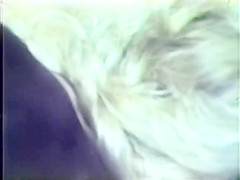 Lesbian Peepshow Loops 630 70's and 80's - Scene 4