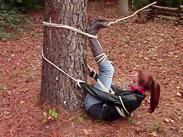 Madelyn : Tree Bound