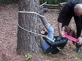 Madelyn : Tree Bound
