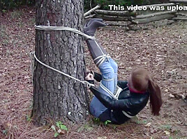 Madelyn : Tree Bound