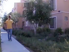 Mike's Se Ci 2045