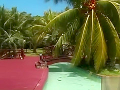 Natasha Storm, Assfucked in Paradise