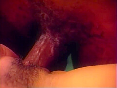 Old Style Sweet Lovers - Vol #04 - (full Original