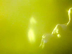 Performance