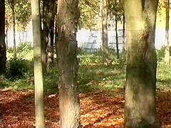 Plotone Di Esecuzione Anale Scene 01