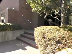 Postal sharking attack with some careless sweetie being really surprised