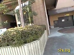 Postal sharking attack with some careless sweetie being really surprised