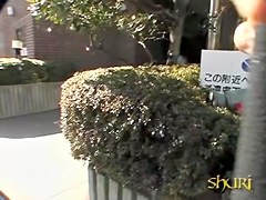 Postal sharking attack with some careless sweetie being really surprised
