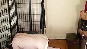 Pounded and milked 