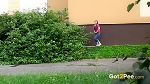 Public Pissing Compilation 004