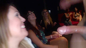 Raunchy fun with stripper