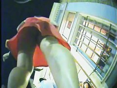 Real upskirt video of sexy chicks in line for the club
