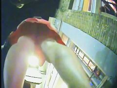 Real upskirt video of sexy chicks in line for the club
