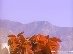Retro Mountain Chick Gets A Bbc Visit For