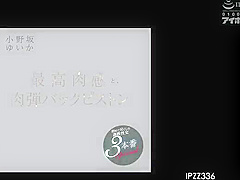 SYQBZVIQIAOALHEJDP38IPZZ336