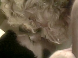 Samantha Strong, Lois Ayres, Herschel Savage in classic sex site