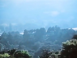 Same time every year (higher quality) 1981