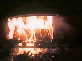 Same time every year (higher quality) 1981