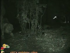 Skinny girl pissing in the woods caught on nightcam