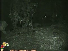 Skinny girl pissing in the woods caught on nightcam