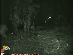 Skinny girl pissing in the woods caught on nightcam