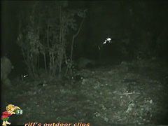Skinny girl pissing in the woods caught on nightcam
