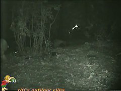 Skinny girl pissing in the woods caught on nightcam