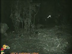 Skinny girl pissing in the woods caught on nightcam