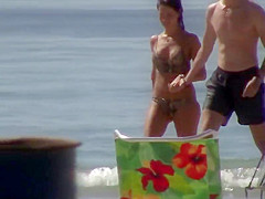Snake on the beach